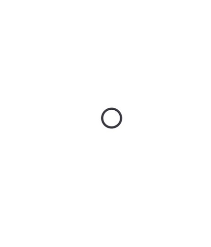 Bedford 0-2597 is Graco 117459 O-Ring aftermarket replacement