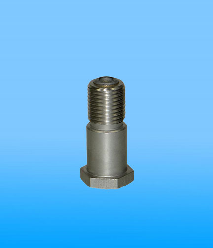graco-181725-female-gland
