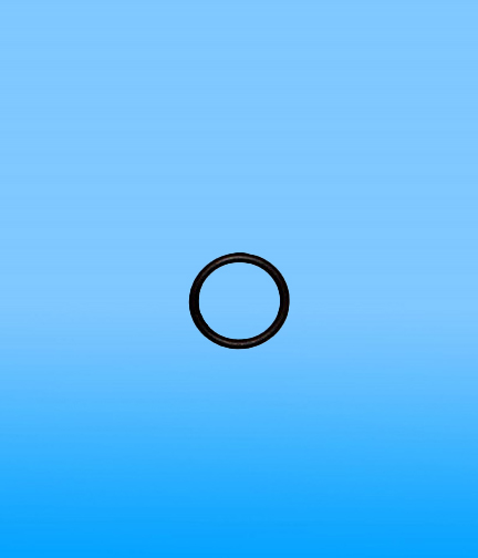 titan-891-403-teflon-o-ring
