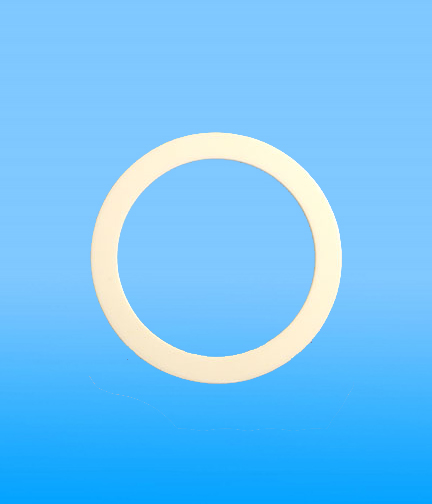titan-700-897-teflon-o-ring